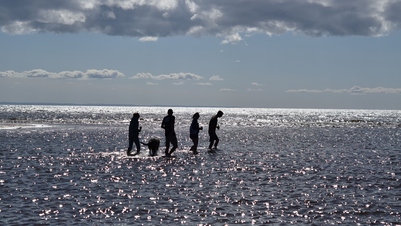 Photo of Others in Belle River