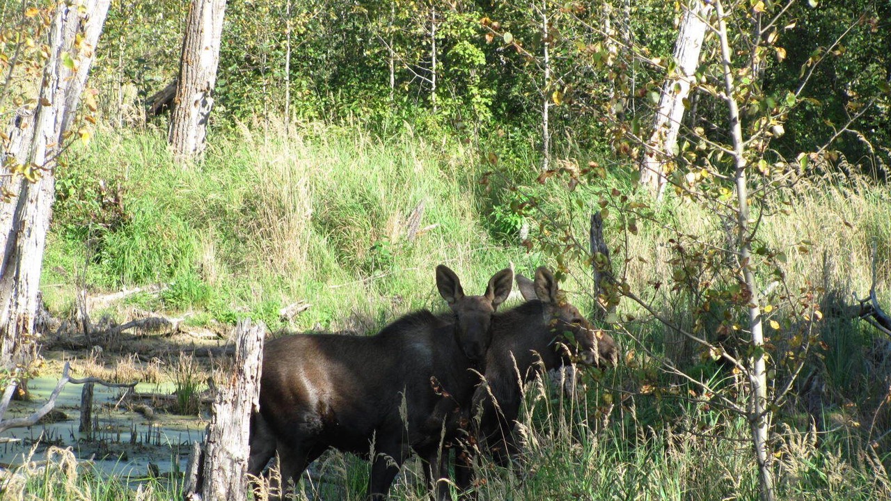 Photo of Others in Strathcona County
