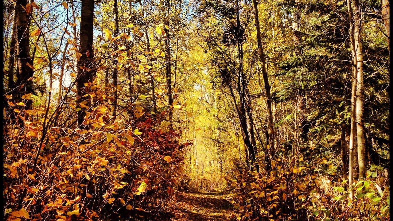 Photo of Outdoor in Strathcona County