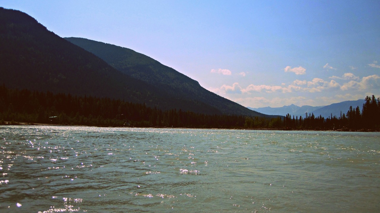 Photo of Others in Golden