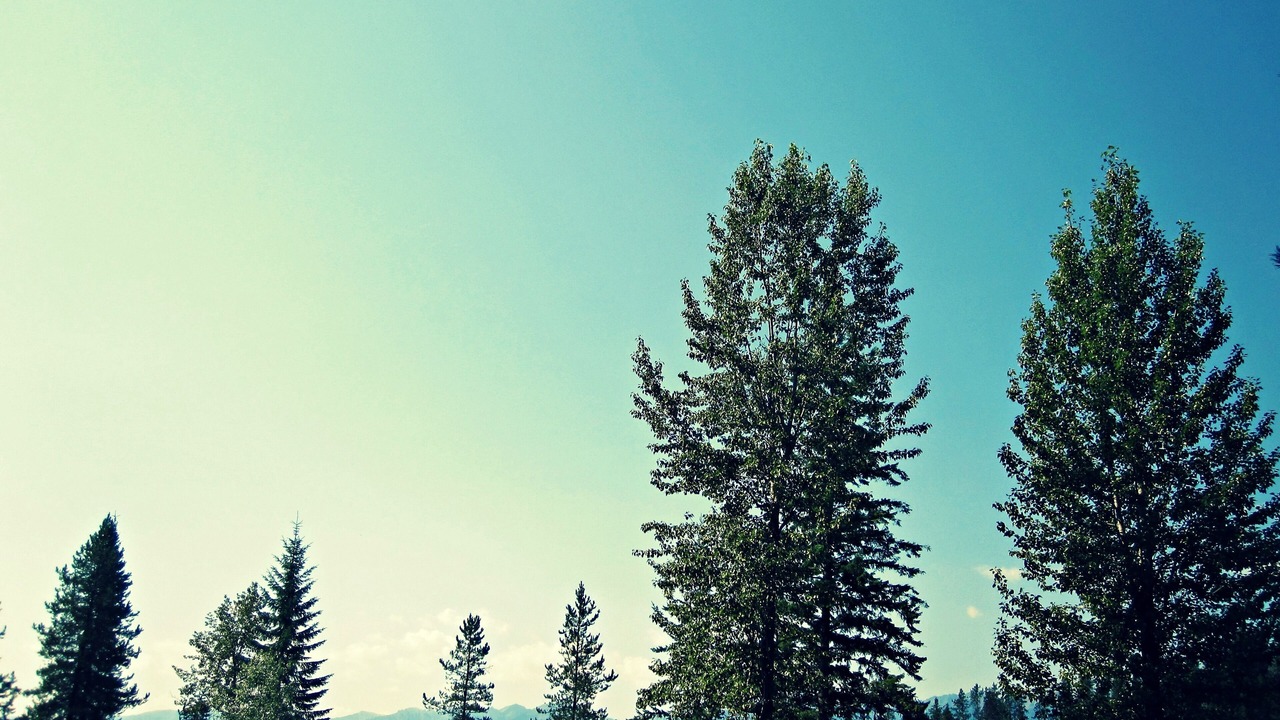 Photo of Others in Golden