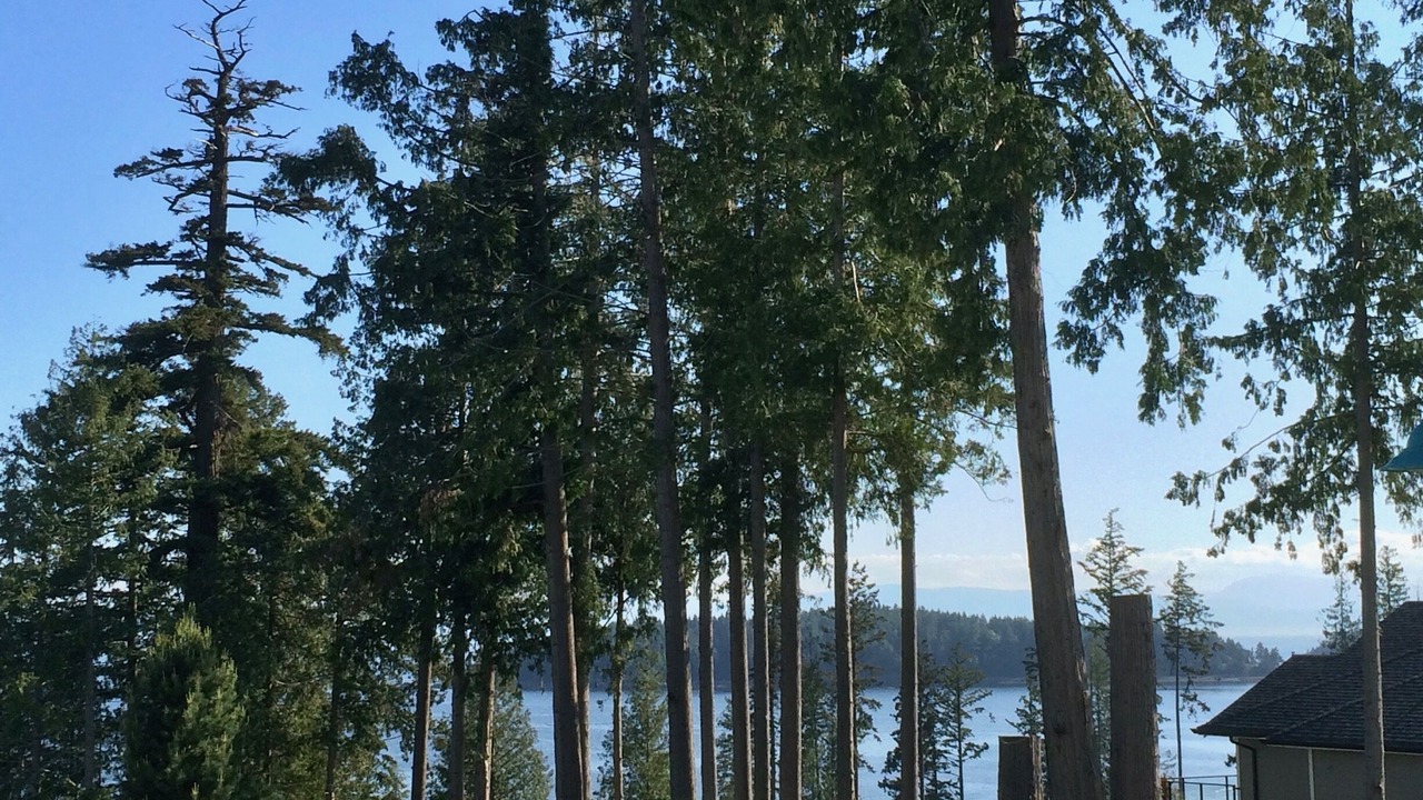 Photo of Others in Sechelt