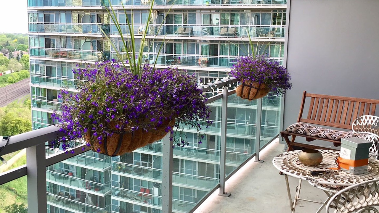 Photo of Outdoor in Humber Bay