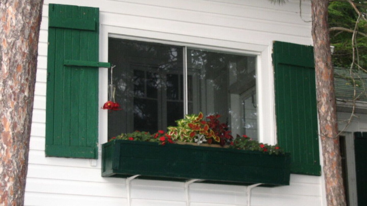 Photo of Others in Lake of Bays