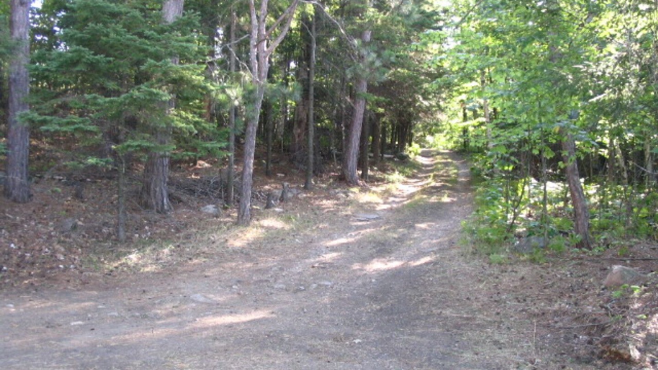 Photo of Others in Lake of Bays