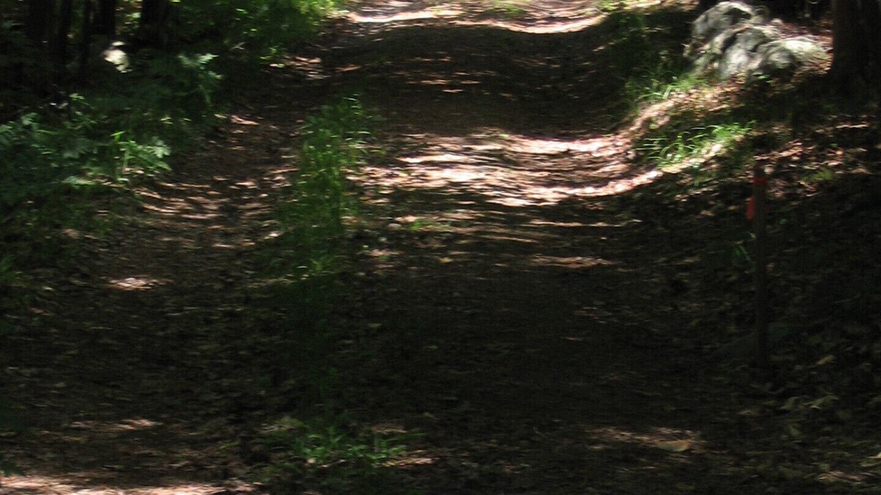 Photo of Others in Lake of Bays