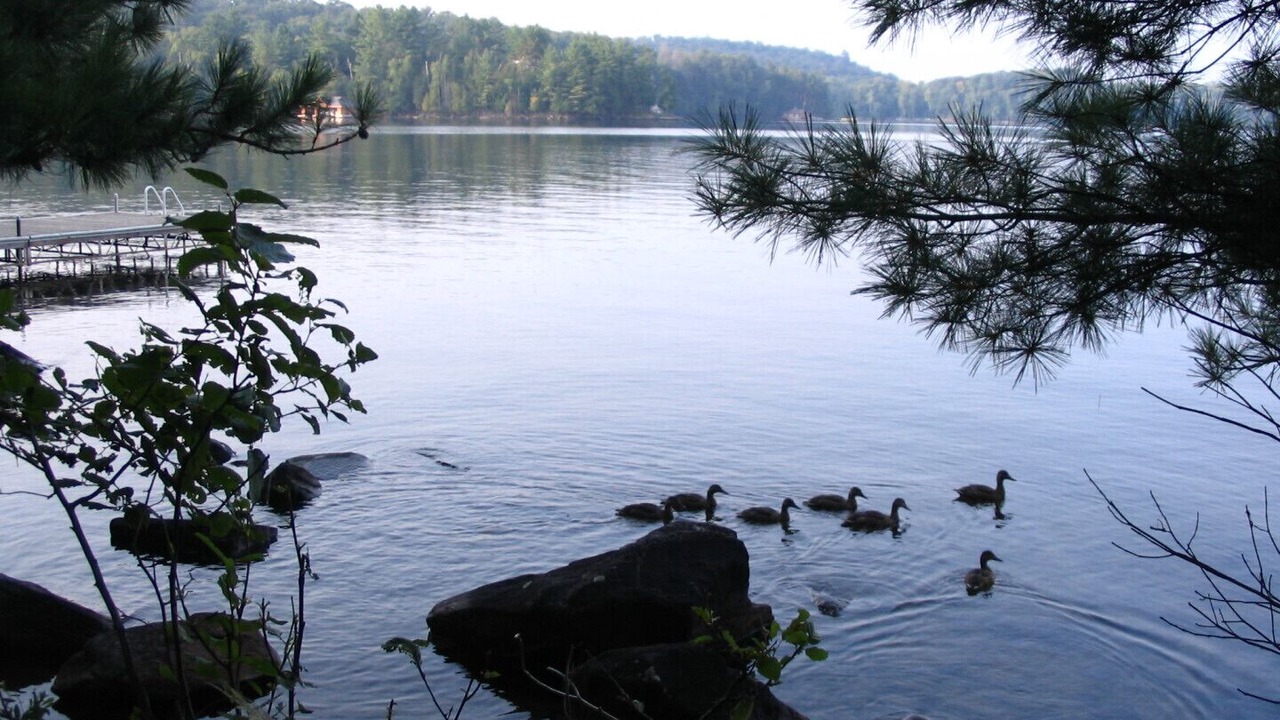 Photo of Others in Lake of Bays