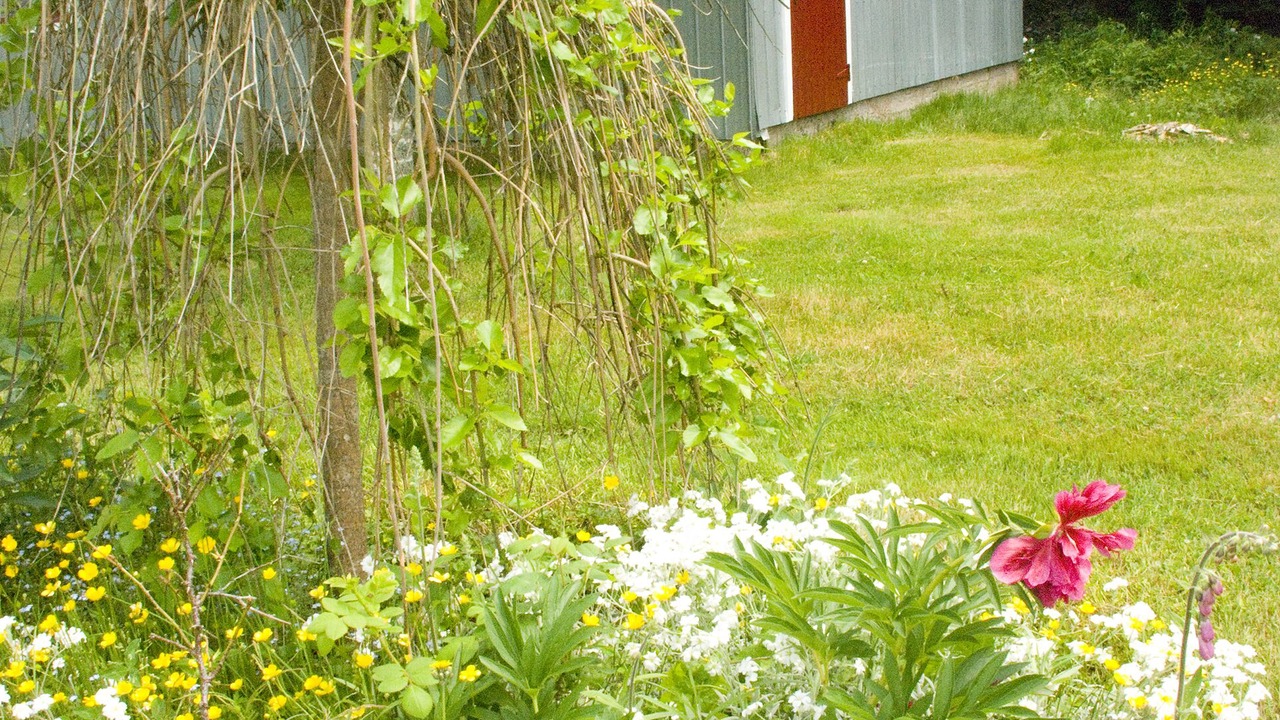 Photo of Outdoor in Margaree Valley