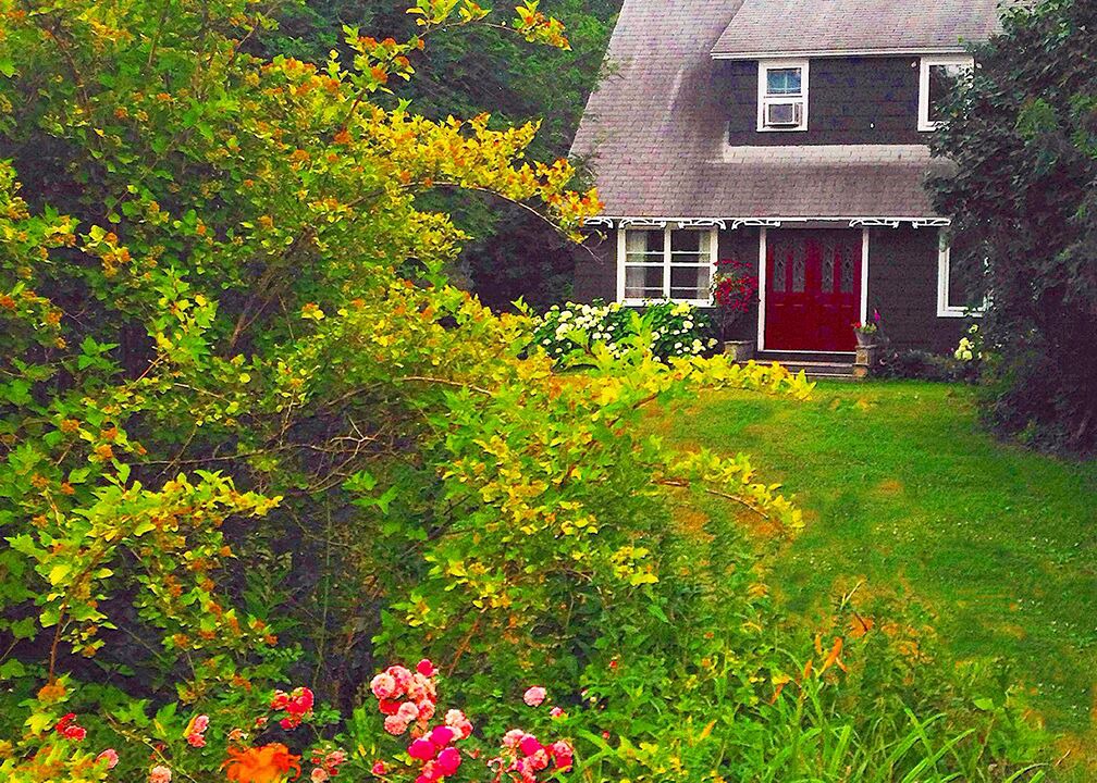 Photo of Others in Margaree Valley