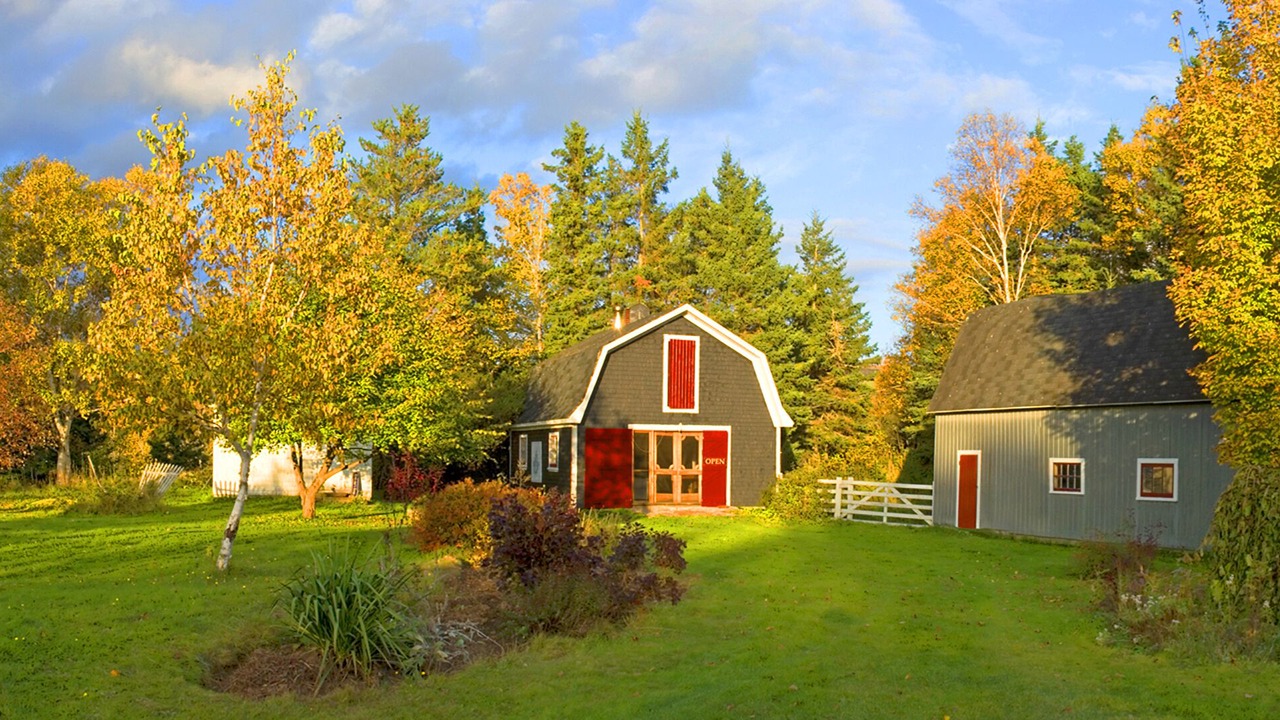 Photo of Others in Margaree Valley