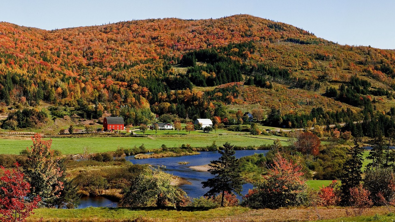 Photo of Others in Margaree Valley