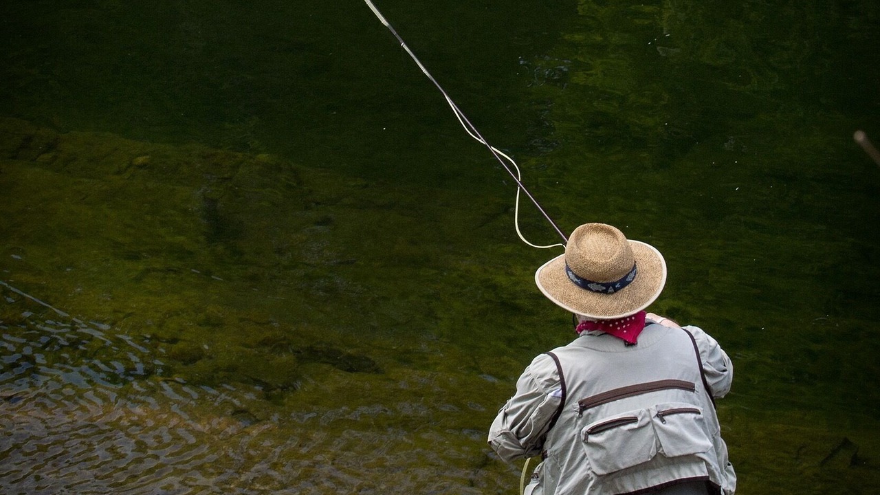 Photo of Others in Margaree Valley
