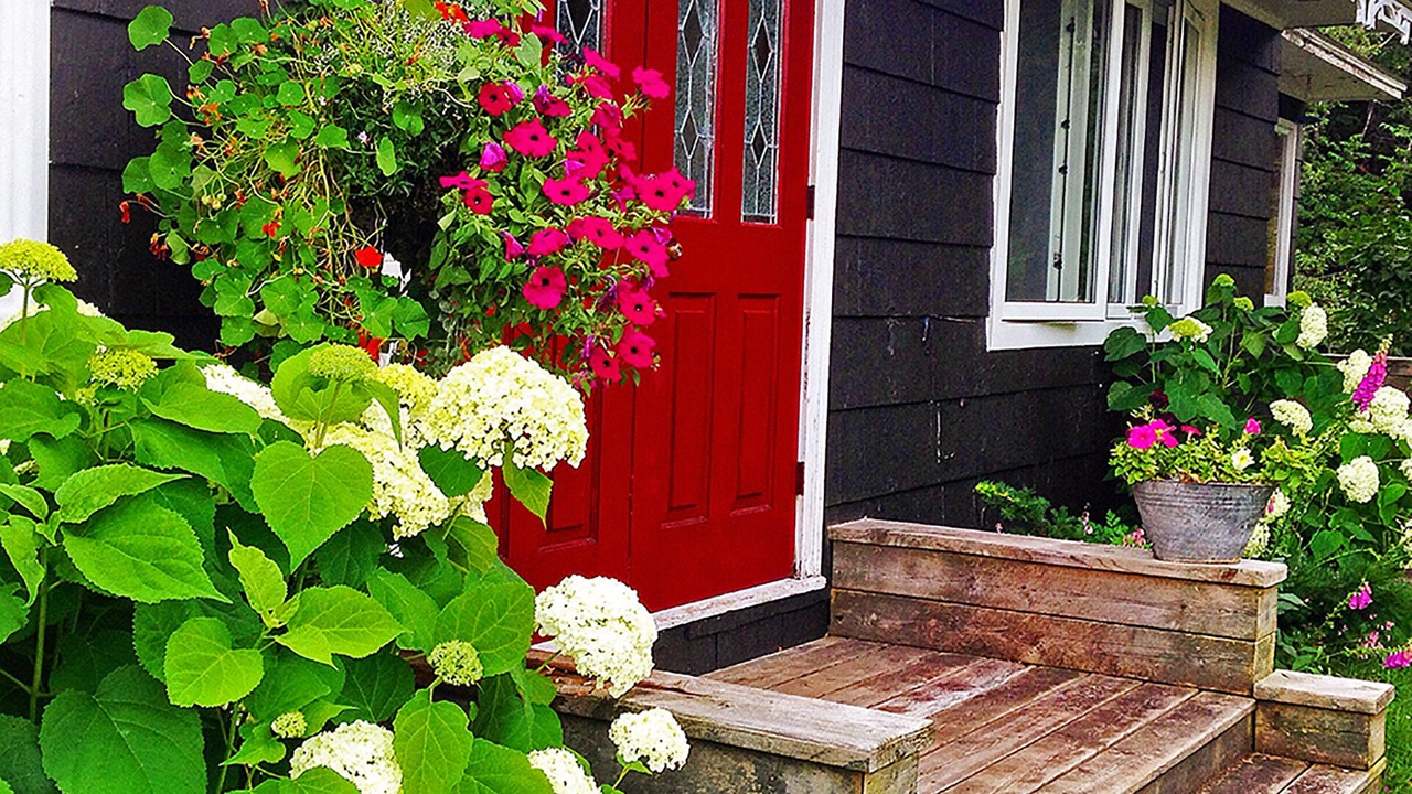 Photo of Outdoor in Margaree Valley