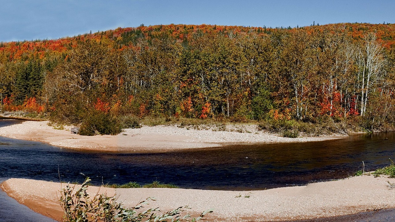 Photo of Others in Margaree Valley