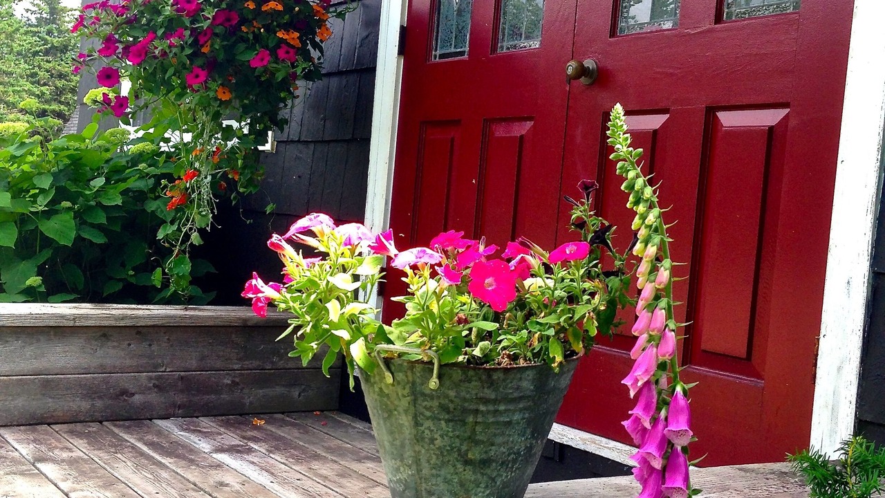 Photo of Others in Margaree Valley