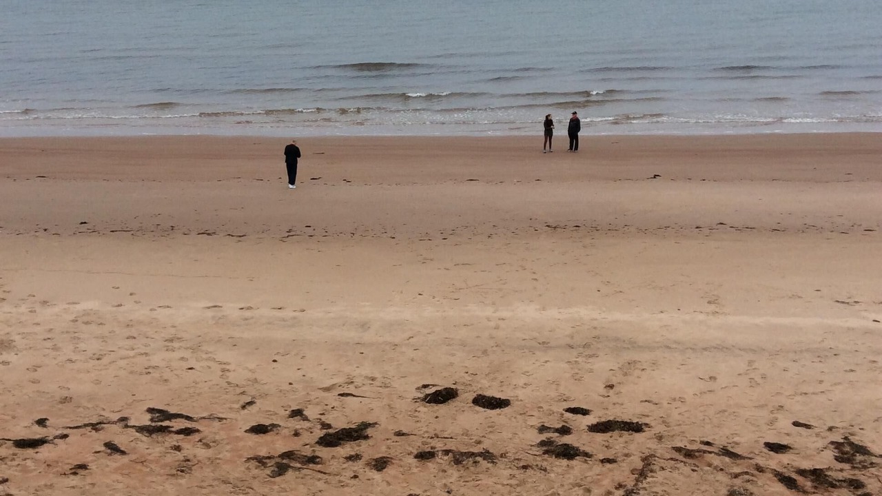 Photo of Others in Morell