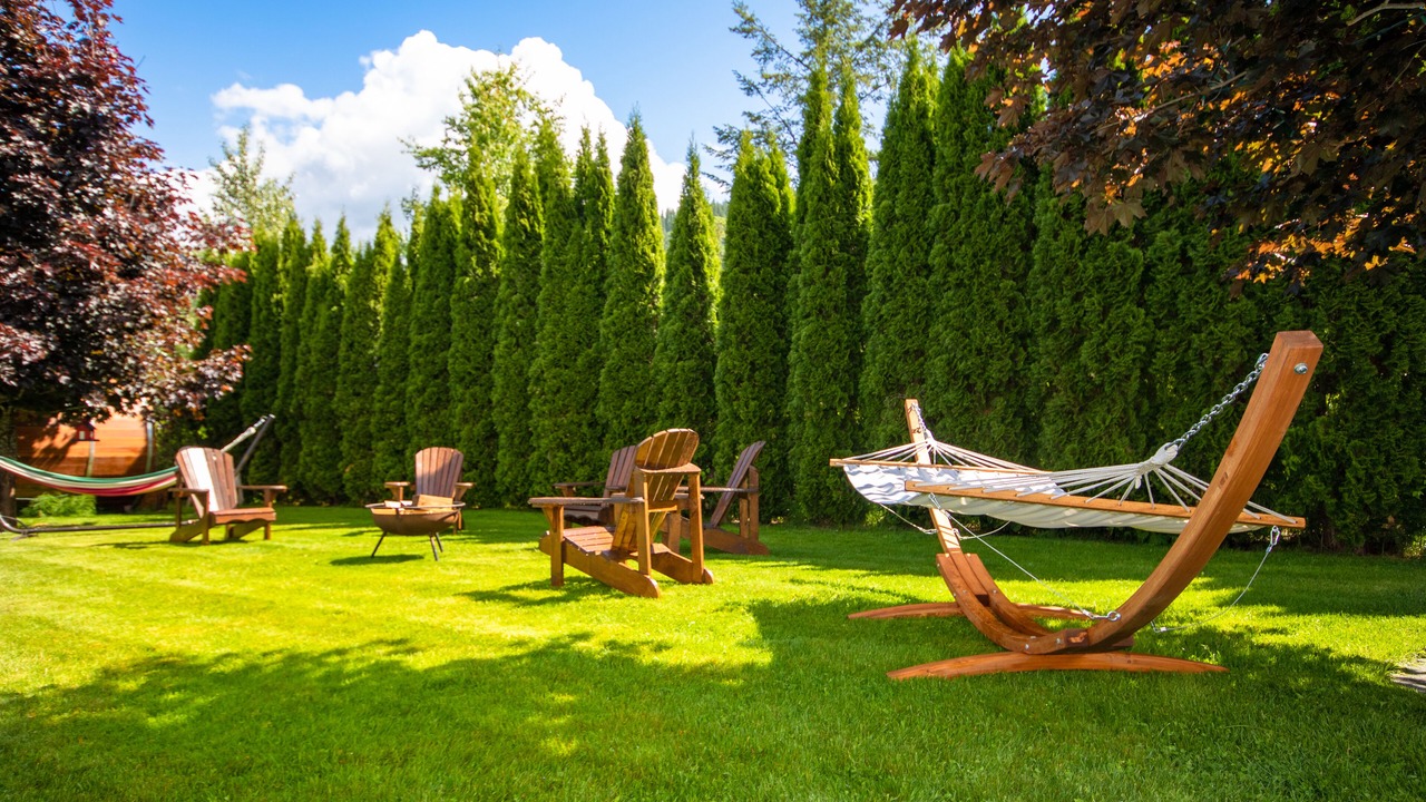 Photo of Outdoor in Revelstoke