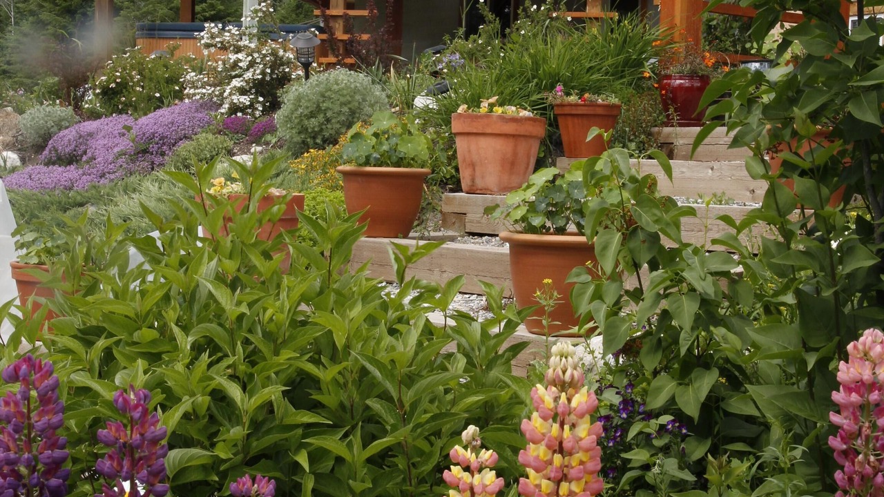 Photo of Patio Balcony in Golden