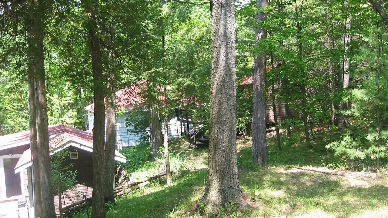 Photo of Outdoor in Tiny