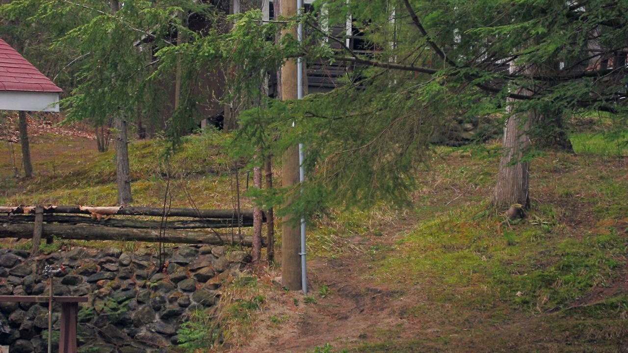 Photo of Outdoor in Tiny