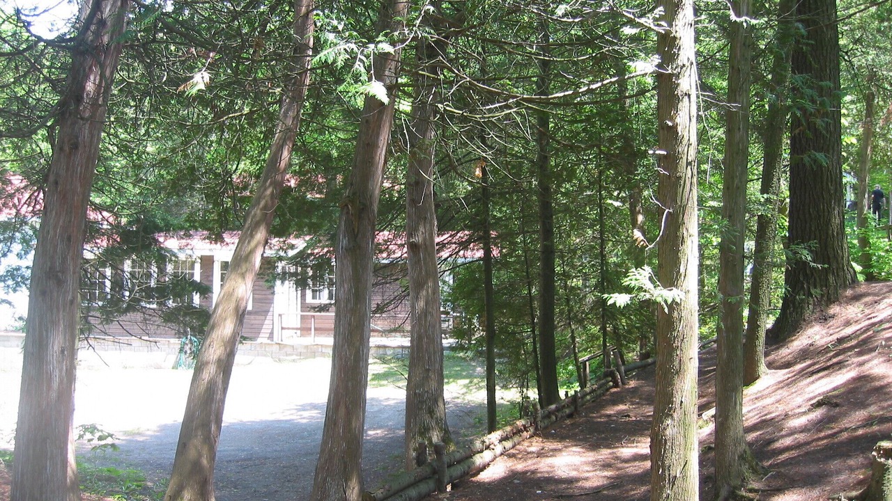 Photo of Outdoor in Tiny