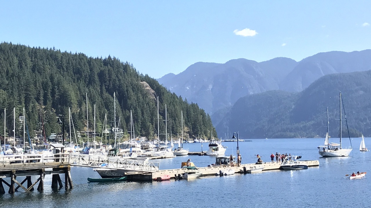 Photo of Others in Deep Cove