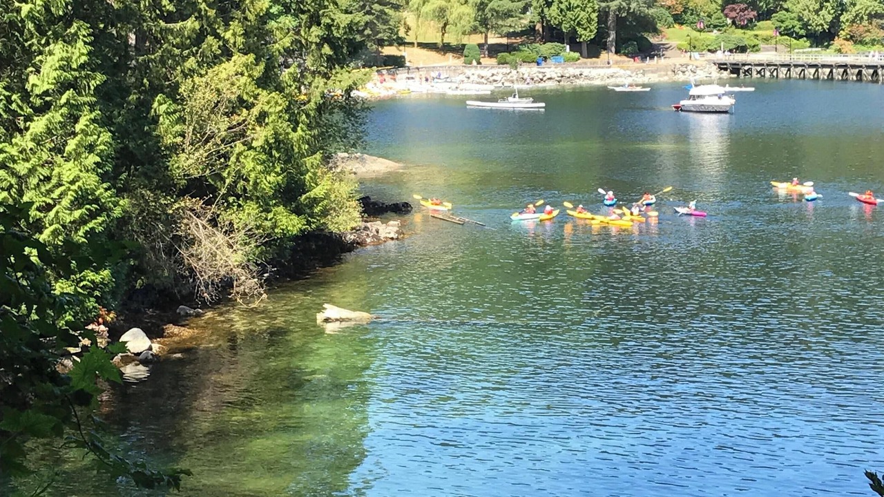 Photo of Others in Deep Cove