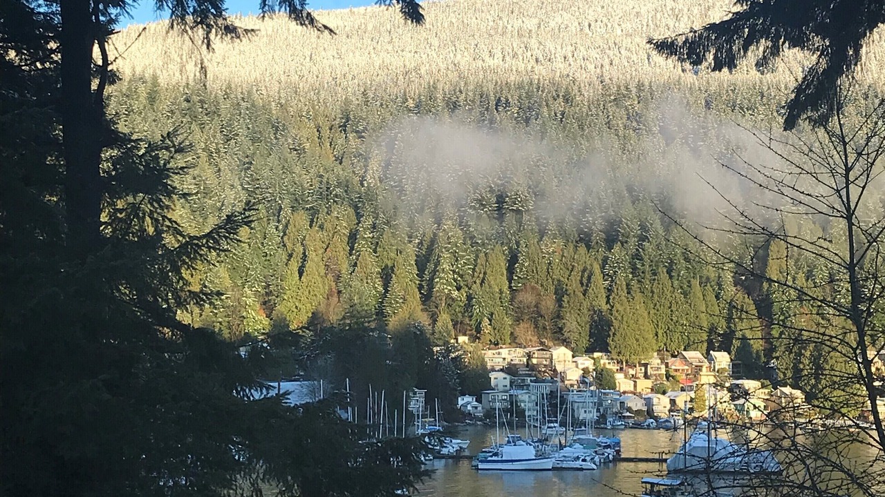 Photo of Bedroom in Deep Cove