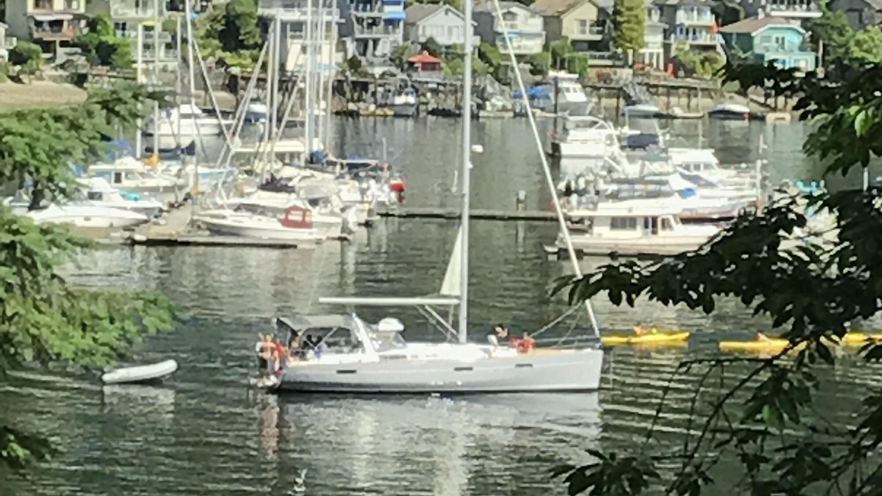 Photo of Others in Deep Cove