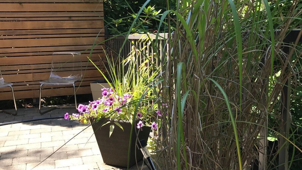Photo of Patio Balcony in Deep Cove