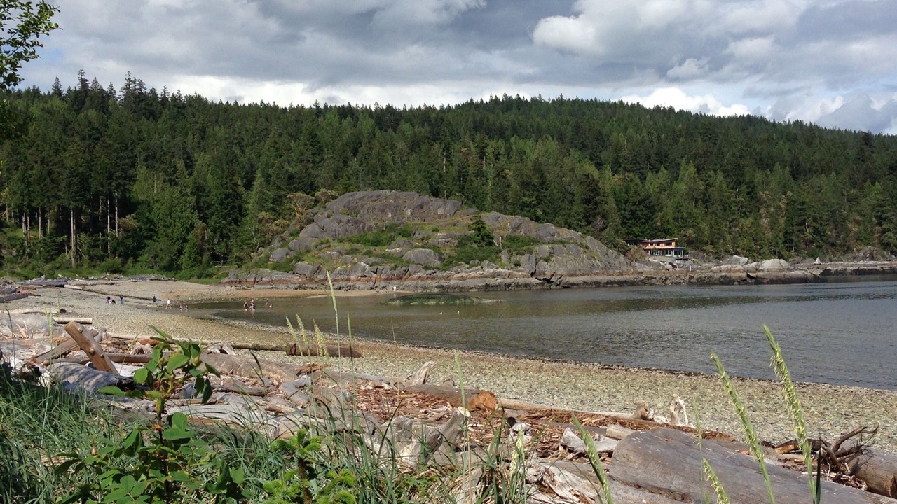 Photo of Others in Halfmoon Bay