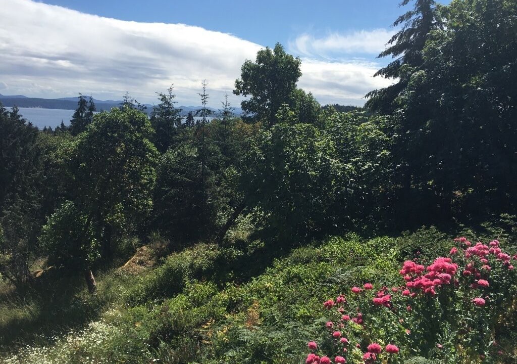 Photo of Others in Salt Spring Island