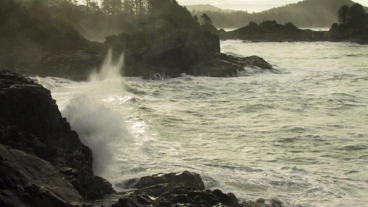 Photo of Others in Tofino