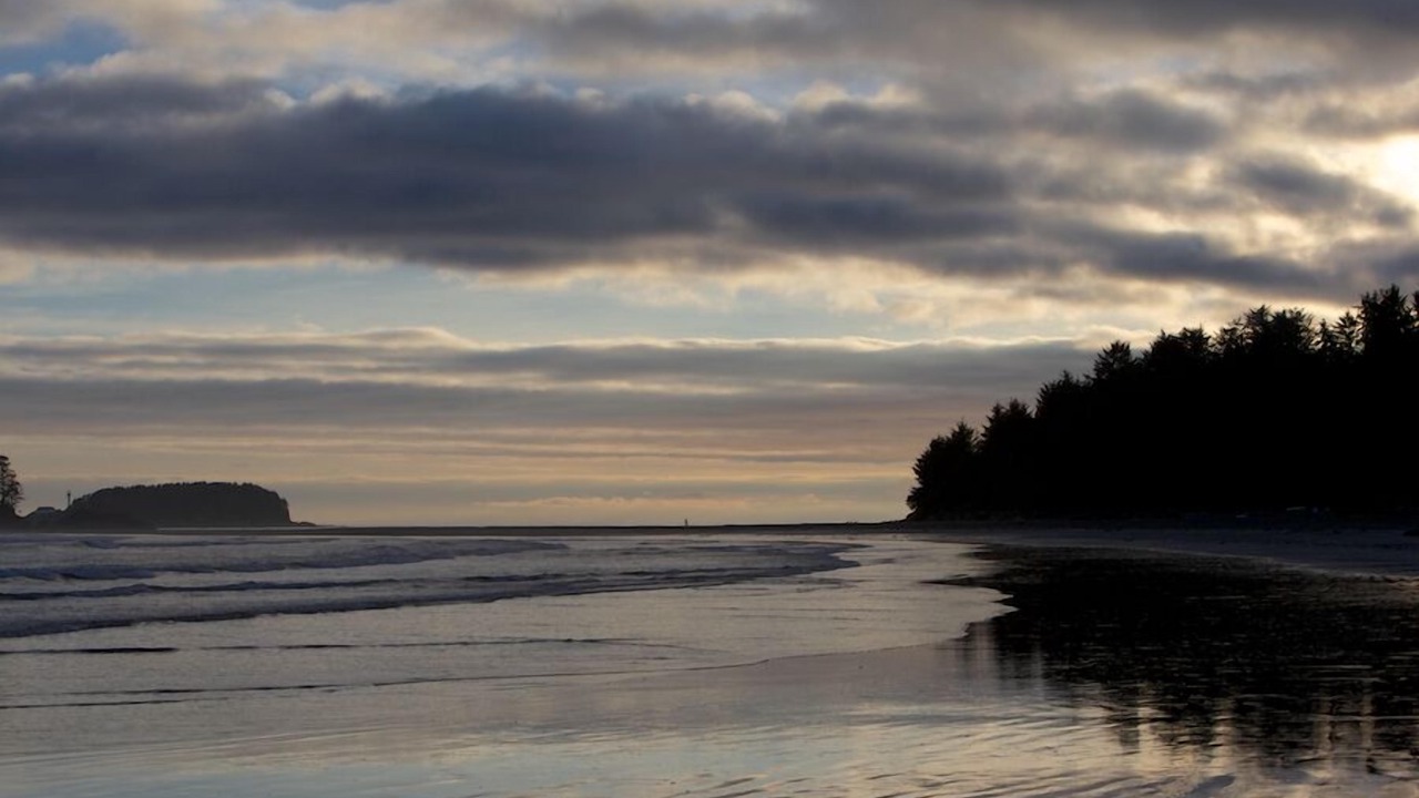 Photo of Others in Tofino