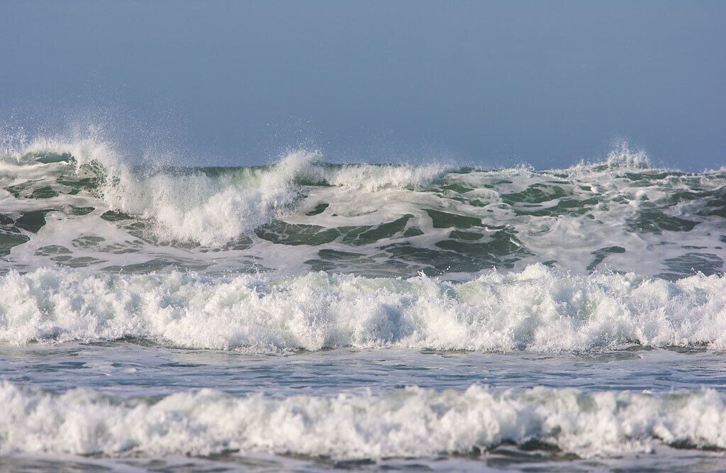 Photo of Others in Tofino