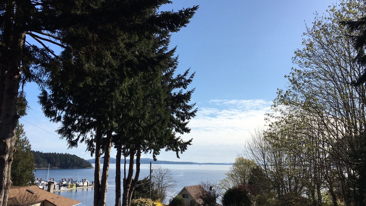 Photo of Others in Mill Bay
