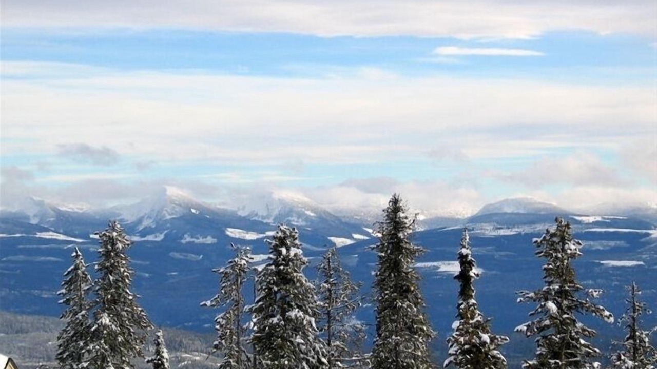 Photo of Others in Snow Pine Estates