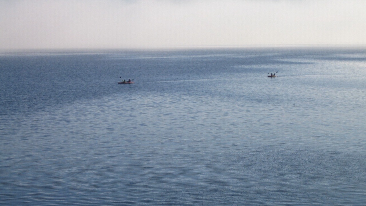 Photo of Others in Yellow Point