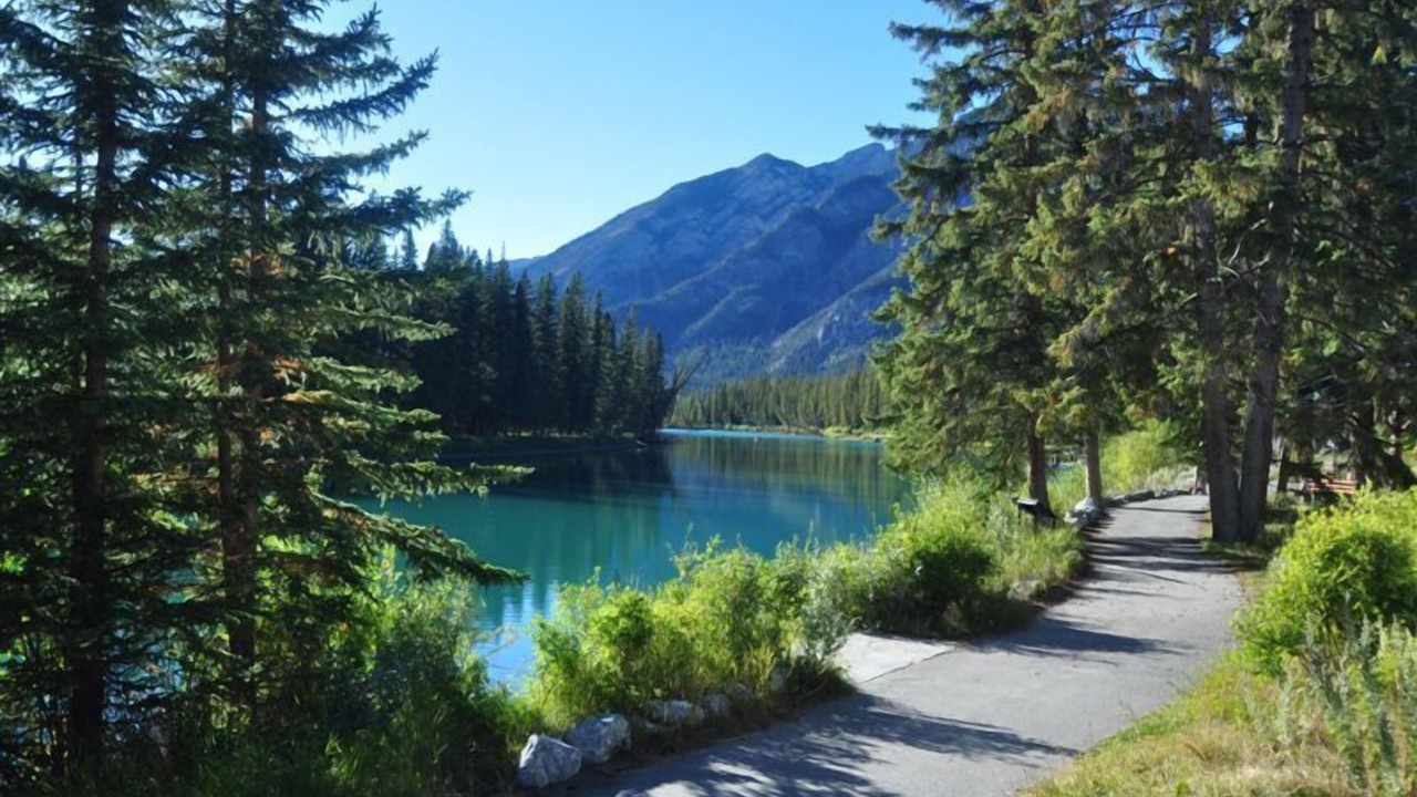 Photo of Others in Banff