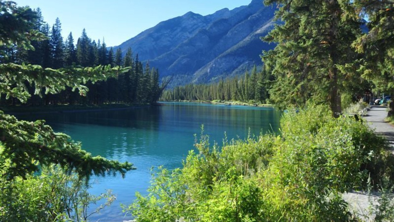 Photo of Others in Banff