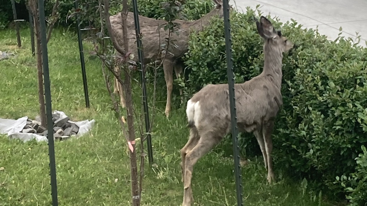 Photo of Others in Banff