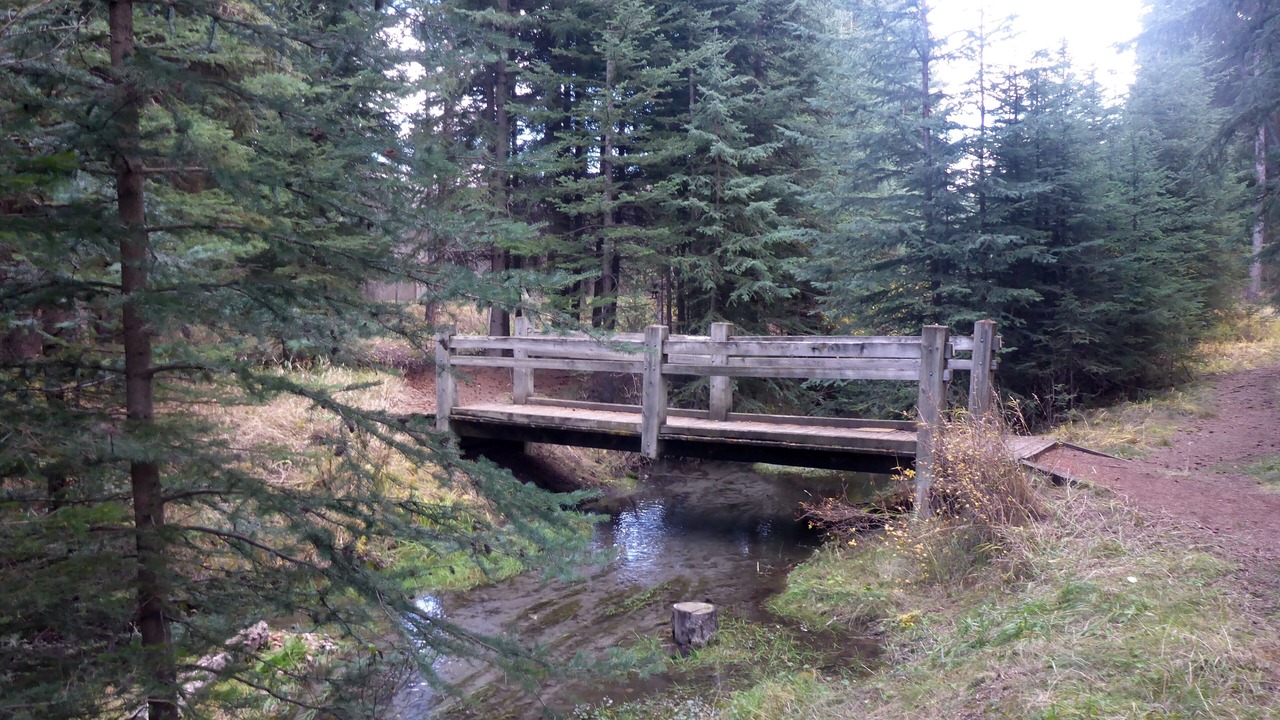 Photo of Others in Banff