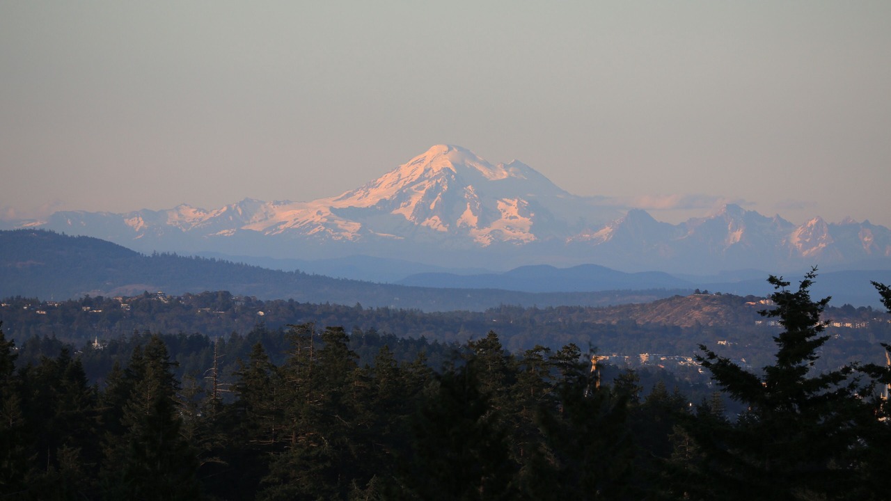 Photo of Others in Colwood