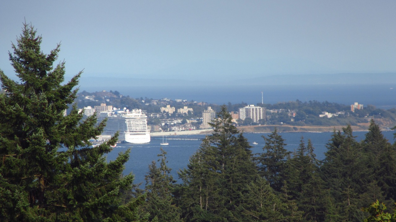 Photo of Others in Colwood
