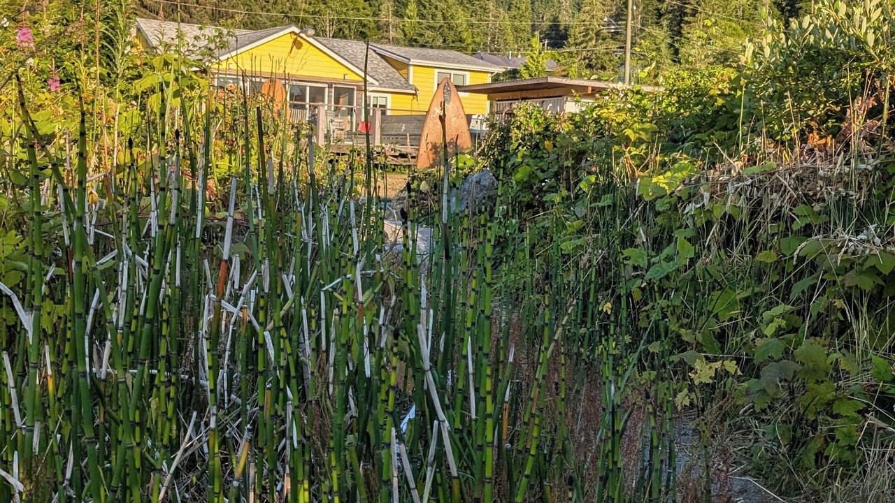 Photo of Others in Port Renfrew