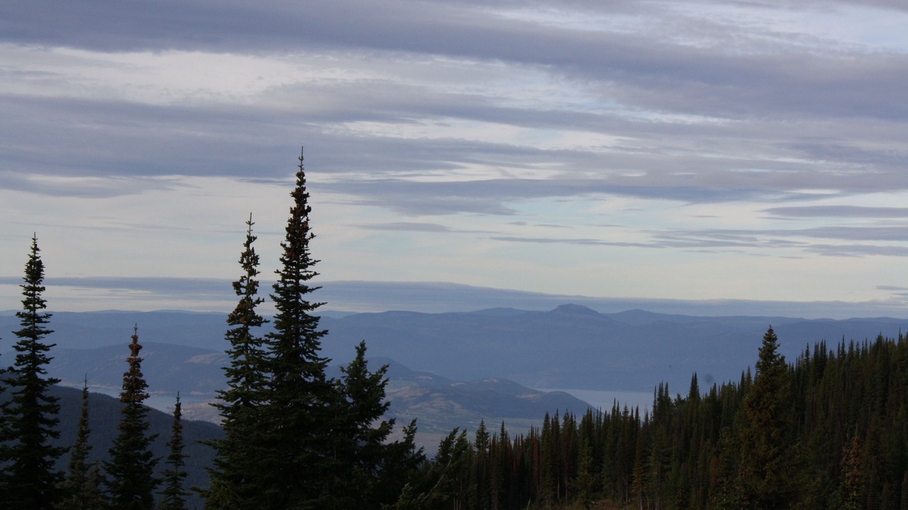 Photo of Others in Silver Star Mountain