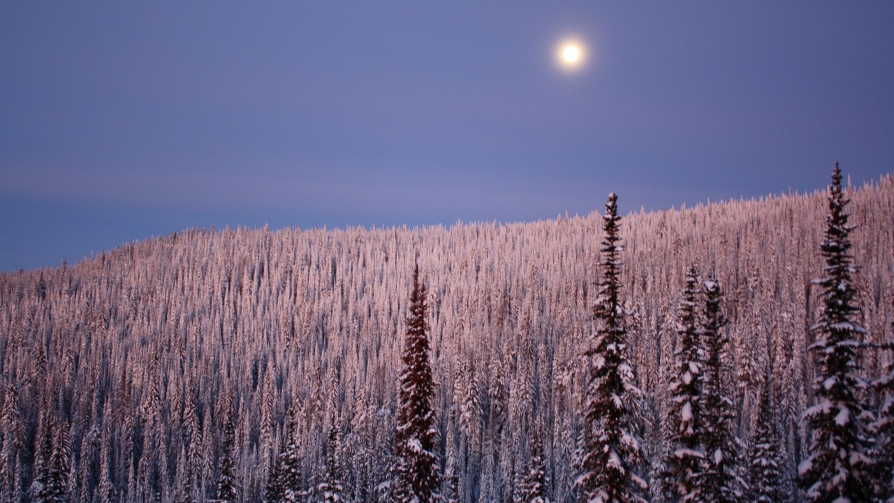 Photo of Others in Silver Star Mountain