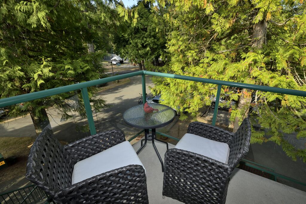 Photo of Outdoor in North Oyster