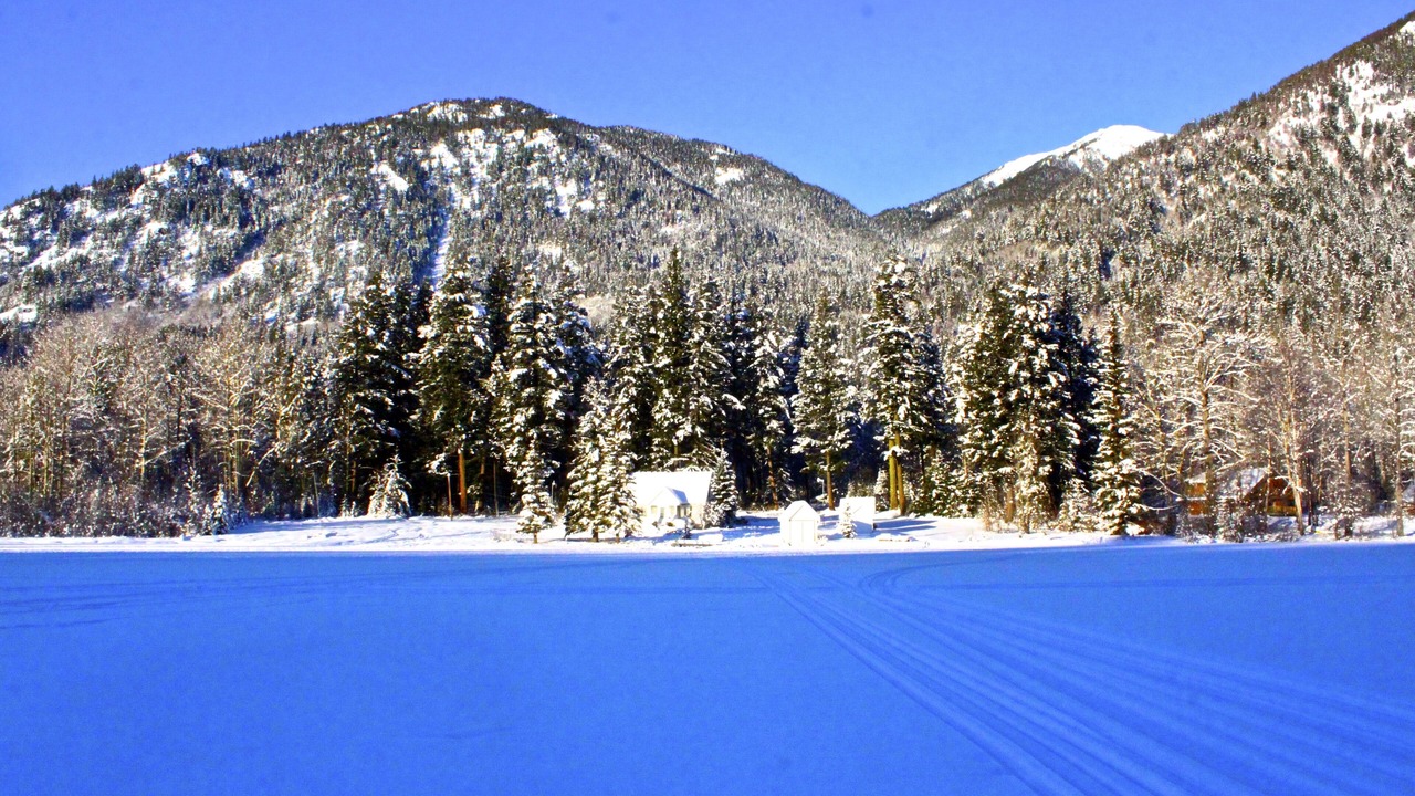 Photo of Outdoor in Gold Bridge