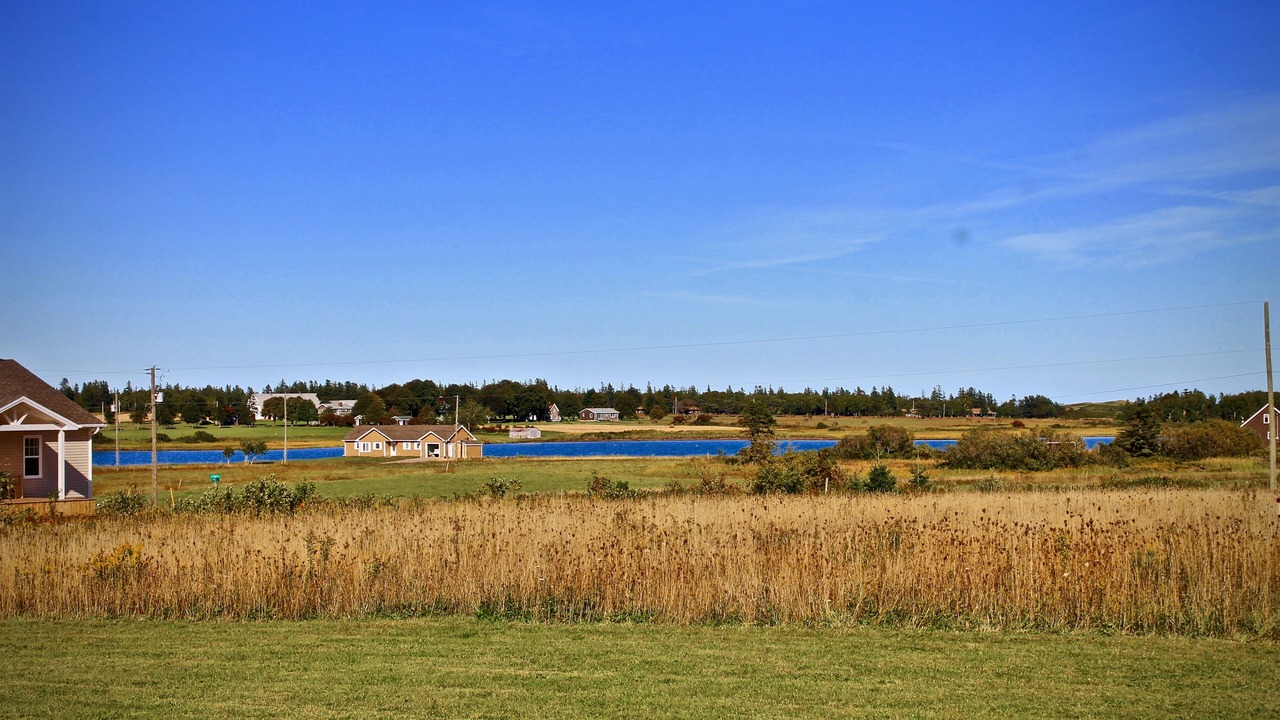 Photo of Others in Brackley Beach